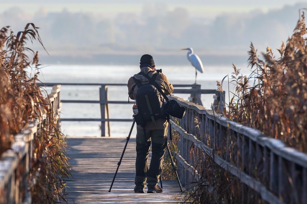 Fotograf molde: profesjonelle bilder som forteller ekte historier