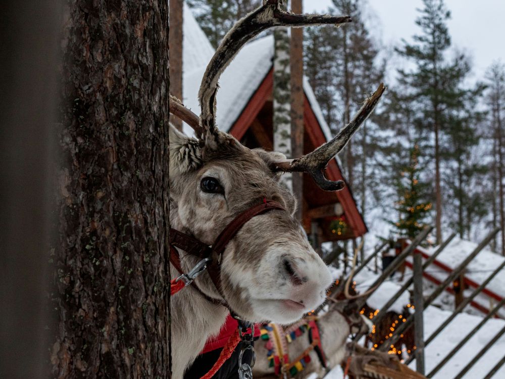 Opplevelse i Finnmark som sitter i lenge